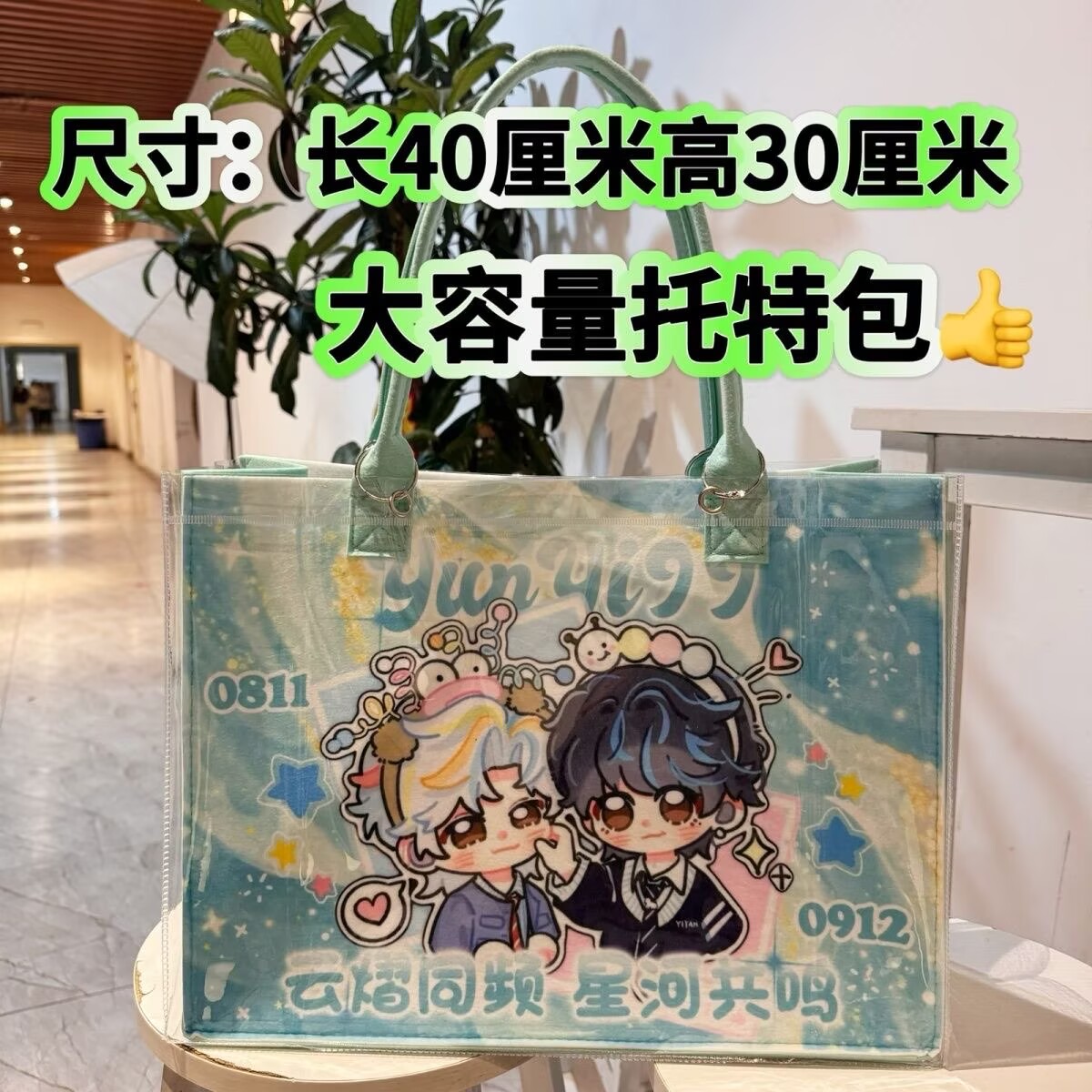 حقيبة يد يون يي شينغ هي مُعدّل - مراجعة Anime Tote Bag وسعره